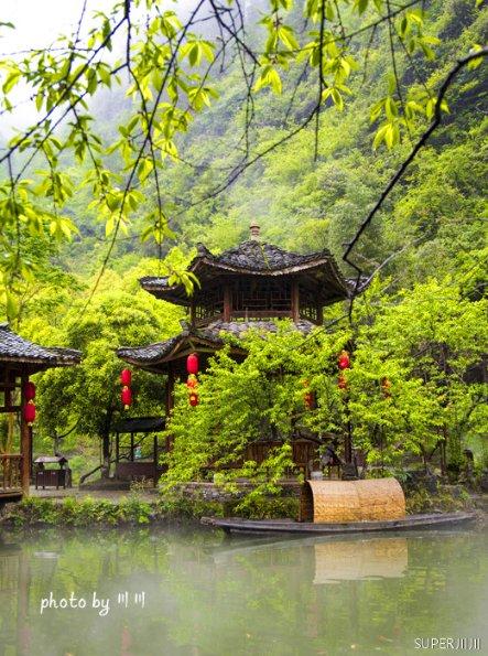 梦想的后院