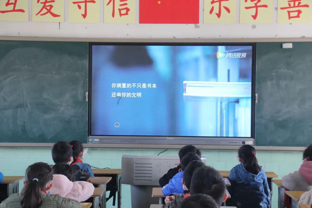 营救小猫头鹰