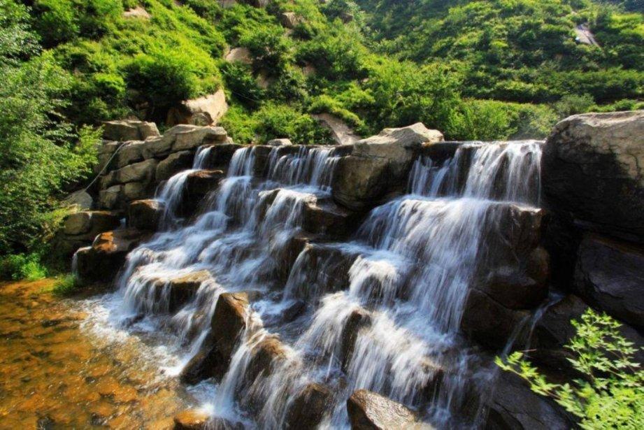 拯救可爱小浣熊