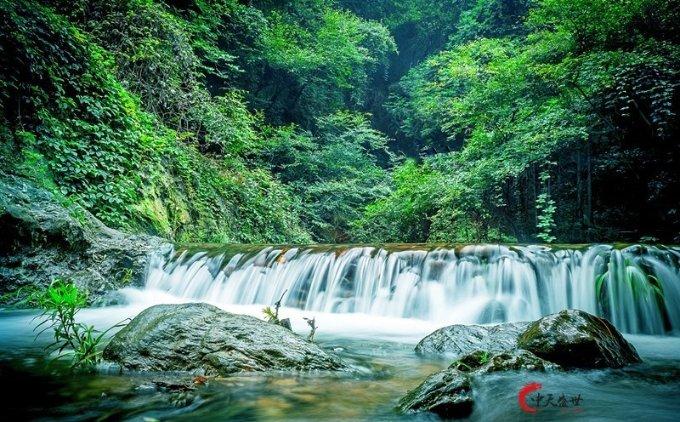 巧虎踢足球2